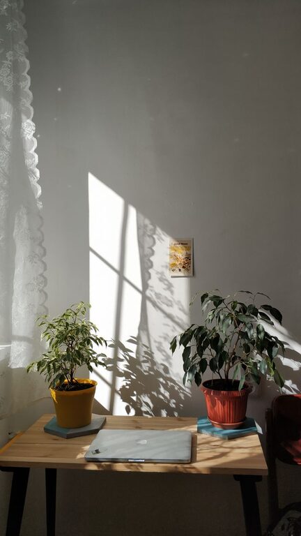 Simple Steps to Create a Cozy and Inviting Home Workspace